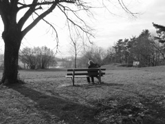 IMG_0001