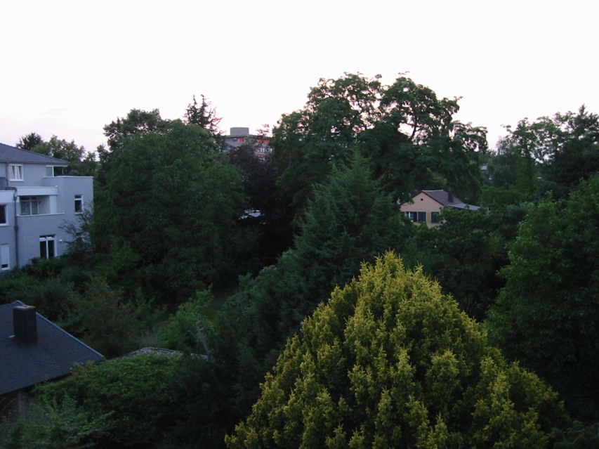IMG_0258.JPG