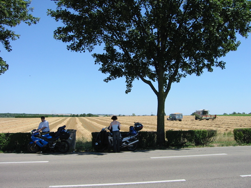 IMG_0050.JPG