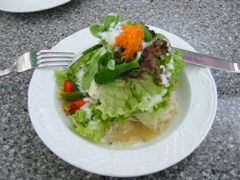 IMG_0231.JPG