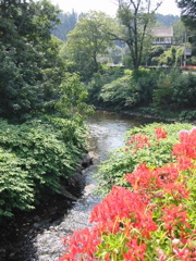 IMG_0239.JPG