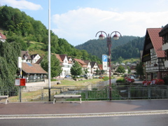 IMG_0513.JPG