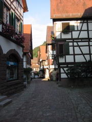 IMG_0527.JPG