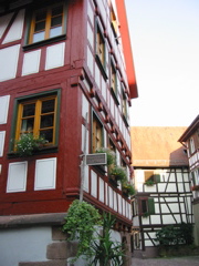 IMG_0530.JPG