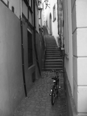 IMG_0532.JPG