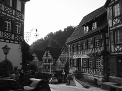 IMG_0548.JPG