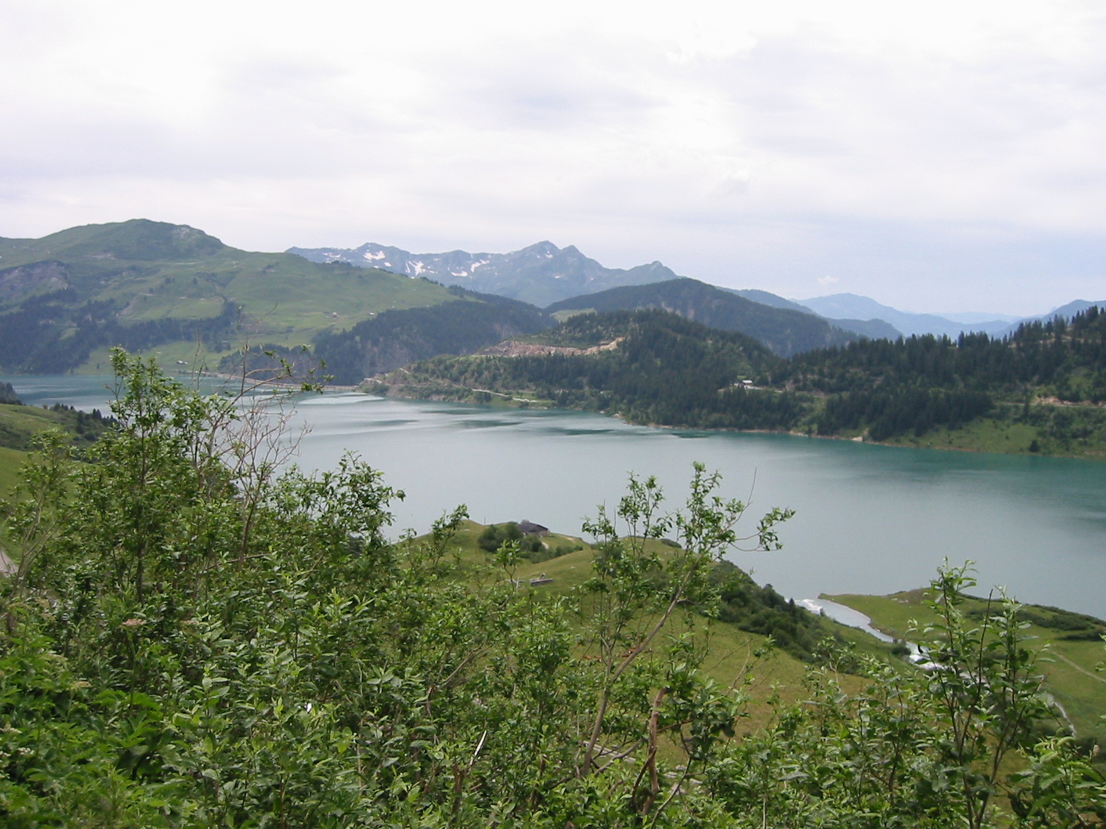 IMG_0827.JPG