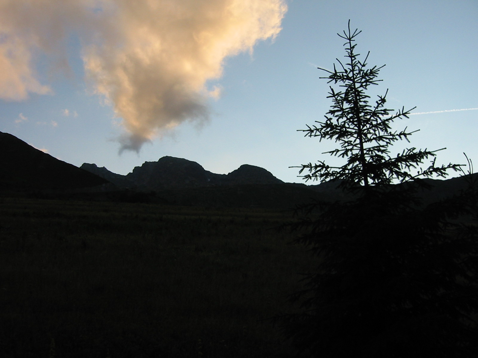 IMG_0491.JPG