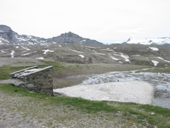 IMG_0790.JPG