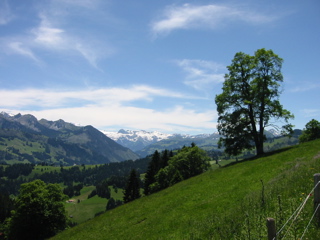 IMG_0105